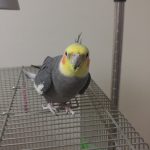 20170729_180517-img1.jpg