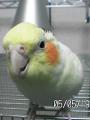 428cf22f3a473-050519_2117~01-small.jpg