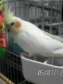 42d3d1f346420-050712_2246~02-small.jpg